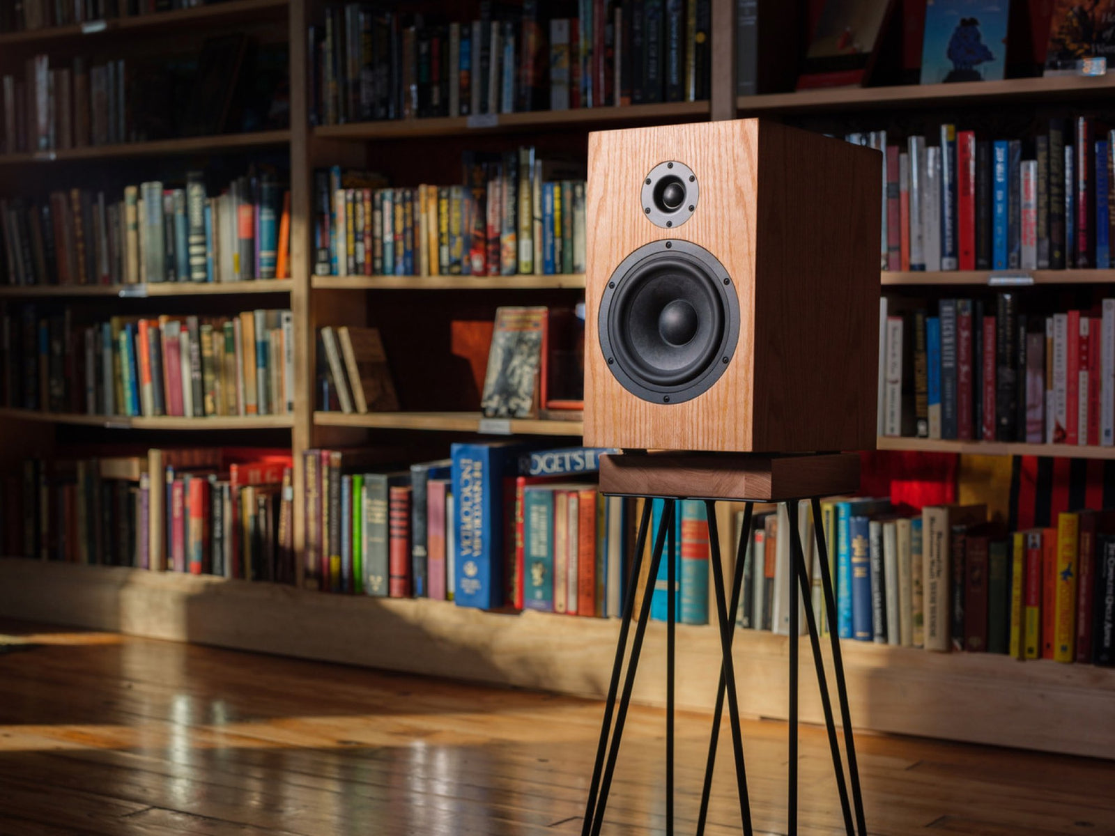 Speakers & Kits