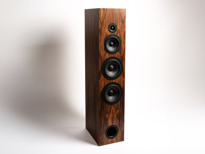 DIY Speaker Kit | Criton 3TD-X Speaker (Pair)