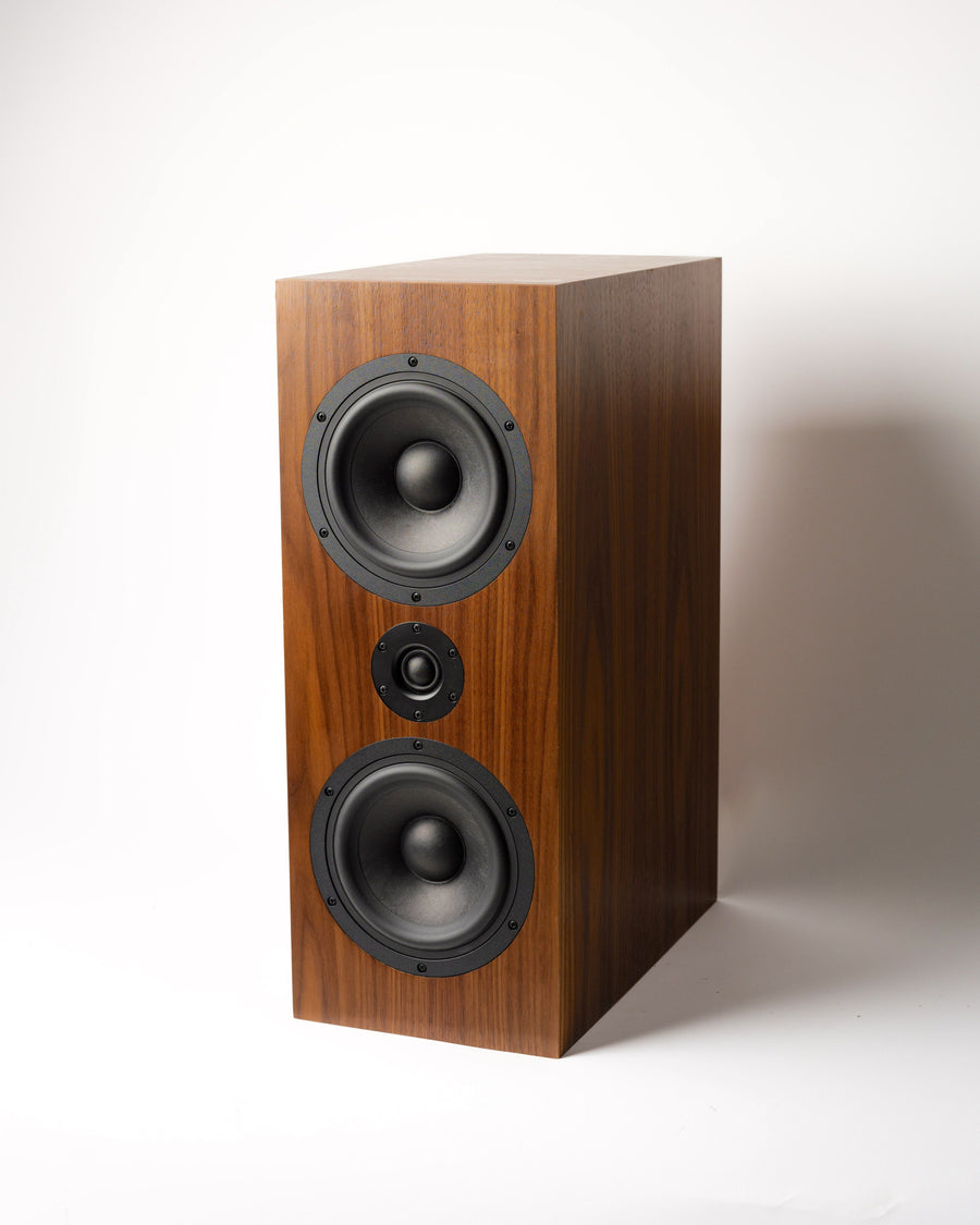 DIY Speaker Kit | Criton 2TD MTM Speaker (Pair)